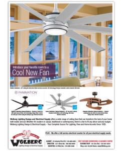 Fanimation Indoor and Outdoor Ceiling Fans