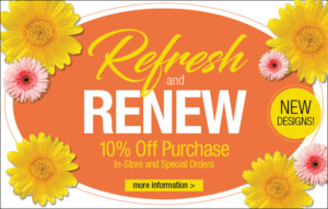 Refresh and Renew your lighting sale