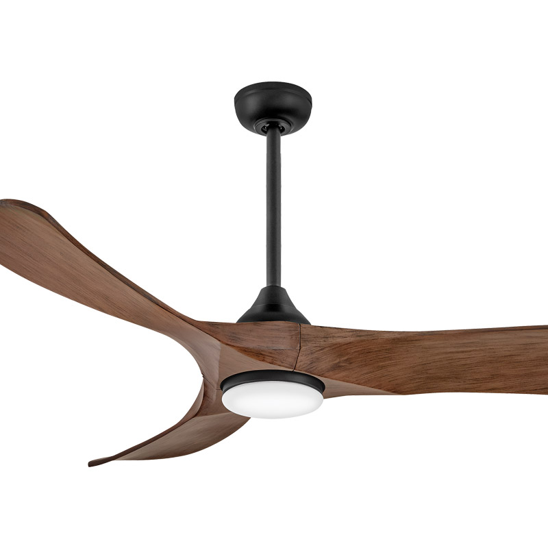 Interior and exterior ceiling fans