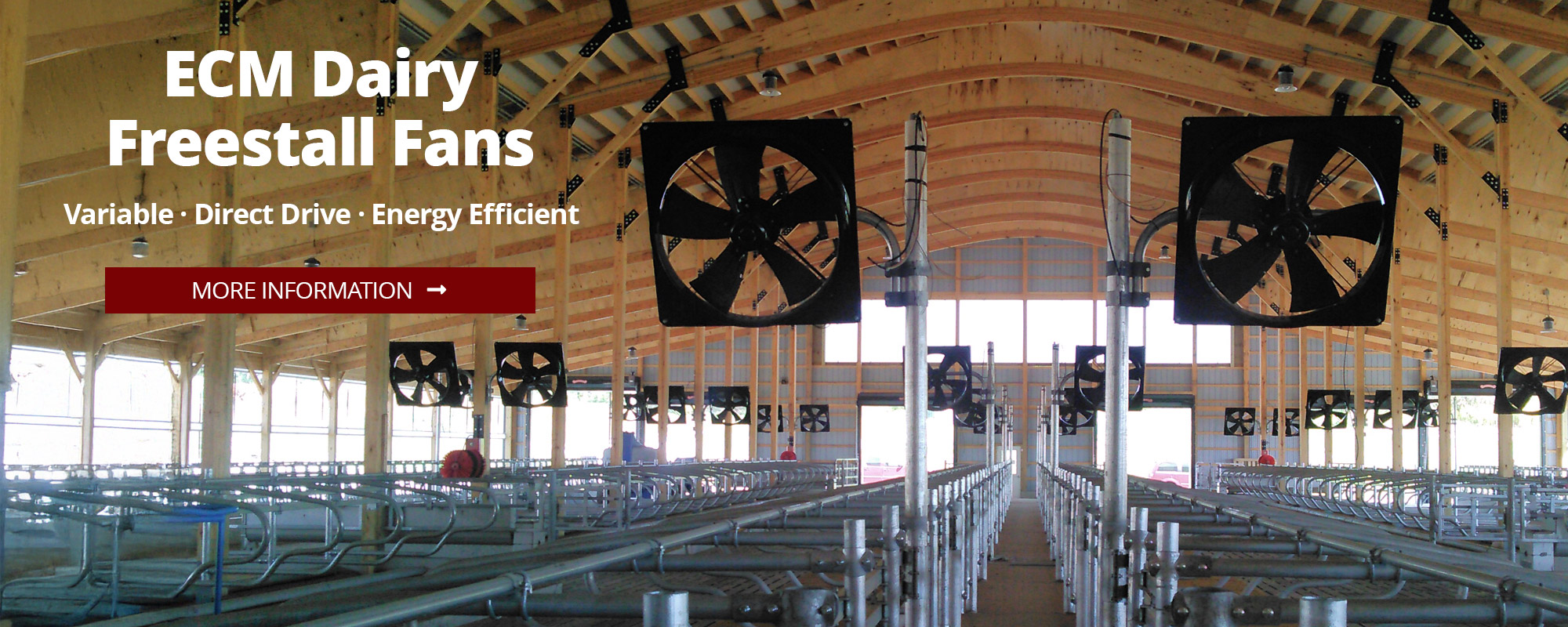 ECM Dairy Freestall Fans